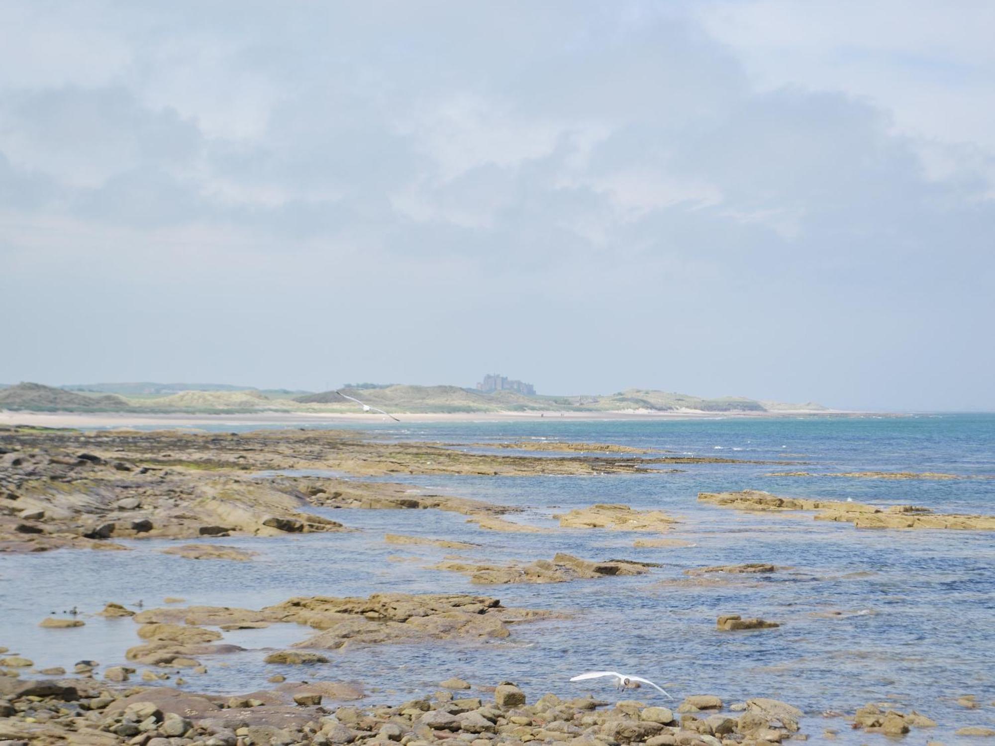 Daisy Cottage Seahouses Bagian luar foto